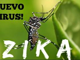 La COI se mobilise face au virus Zika La COI se mobilise face au virus Zika